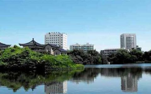 中国十大市场排行榜(中国十大城市排行榜前十名)