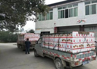 中国捐款城市排行榜(四川地震捐款排行榜)插图