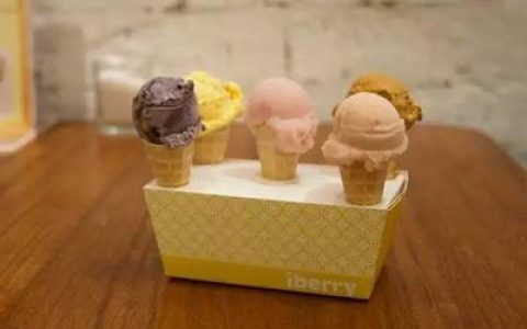 低脂雪糕排行榜十大品牌(国内十大雪糕品牌排行榜)