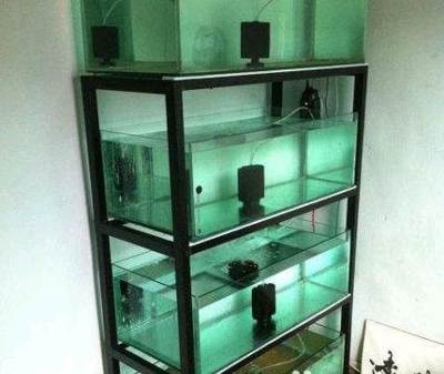 中国十大土豪团队排行榜(世界十大土豪鱼缸排行榜)插图