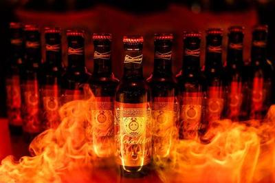 中国十大夺命啤酒排行榜最新(世界十大烈性啤酒排行榜)插图3