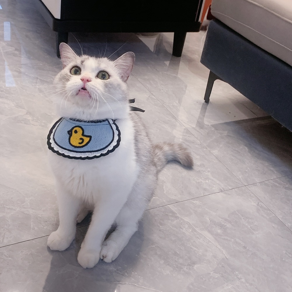 京东十大毒猫粮排行榜(中国十大国产猫粮品牌排行榜)插图5