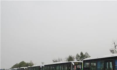 中国专业工资排行榜(专业工资排行榜2022)插图