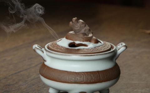 纯天然盘香十大品牌排行榜(盘香品牌排行榜前十名)