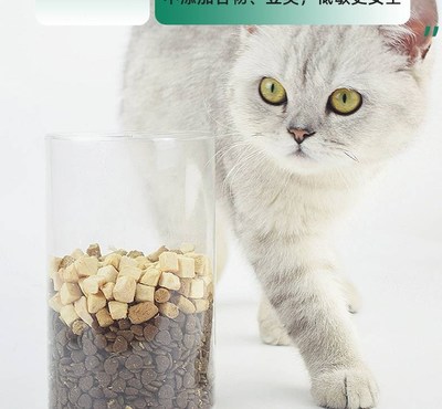 家养十大宠物猫排行榜(宠物猫羊奶粉十大名牌排行榜)插图