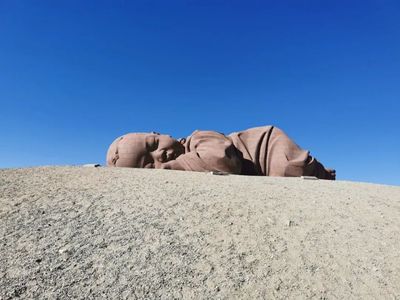 国外十大沙雕明星排行榜(明星沙雕指数排行榜)插图