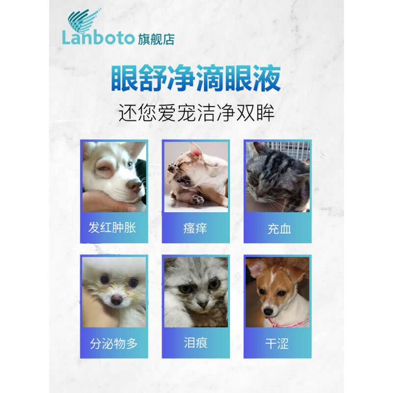 中国女国手排行榜(中国女乒前国手)插图