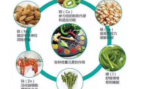 中国蔬菜消耗排行榜(中国蔬菜公司排行榜)