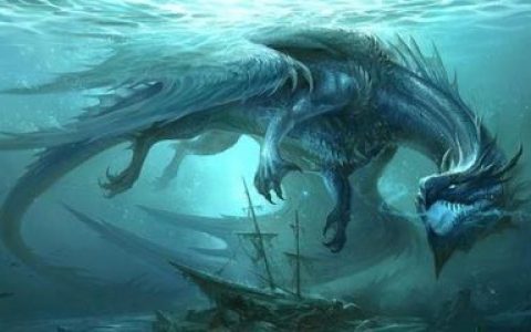 十大海洋奇迹排行榜(十大海洋巨兽排行榜)