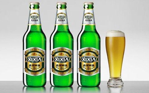 酒吧啤酒十大排行榜(日本十大啤酒品牌排行榜)