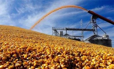 十大最缺粮食国家排行榜(2021年世界十大粮食生产国家)插图1