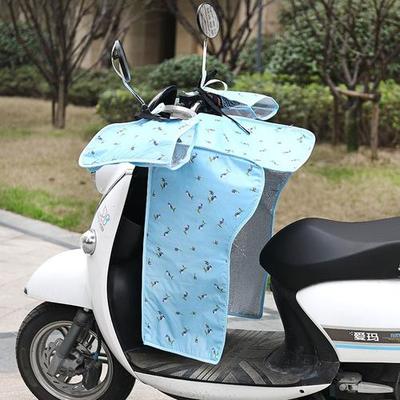 十大品牌女内裤排行榜图片(十大品牌电动车排行榜)插图