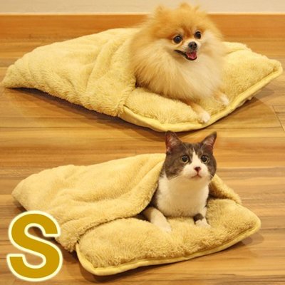 十大良心猫狗排行榜(十大良心贷款平台排行榜)插图1