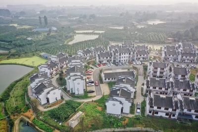 中国客家城市排行榜(深圳客家富豪排行榜)插图1