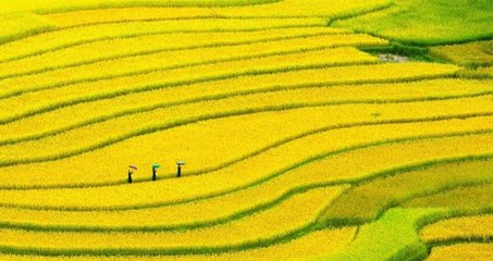 中国专业摄影排行榜(摄影品牌排行榜前十名)插图1