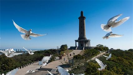 十大在线旅行社排行榜(长沙十大旅行社排行榜)插图