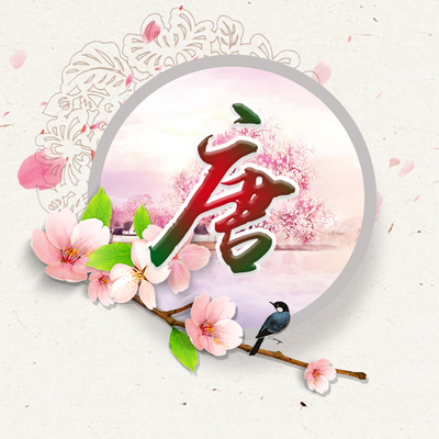 中国常用姓氏排行榜(中国姓氏排行榜20)插图