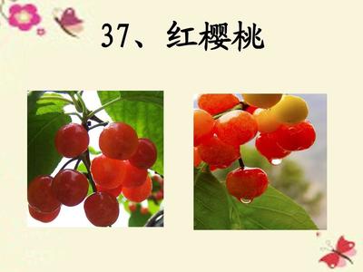 辅酶秋实十大品牌排行榜(辅酶秋实什么品牌好)插图