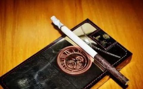 十大最强的香烟排行榜品牌(十大国内高档香烟品牌排行榜)