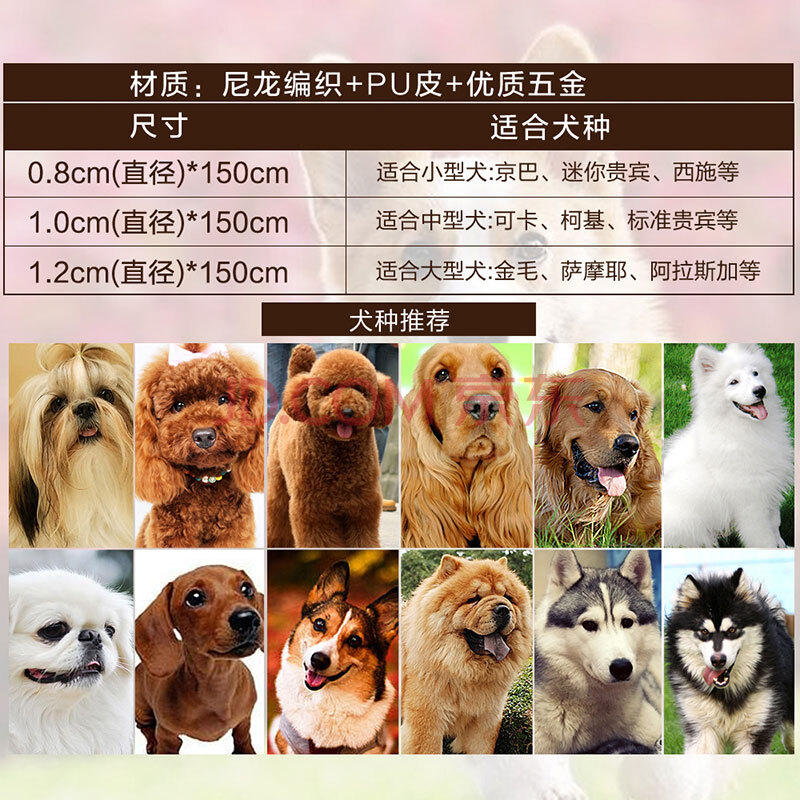 中国宠物行业排行榜(中国宠物行业存在的问题)插图1