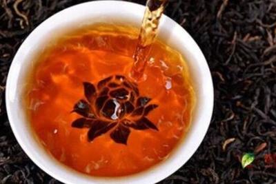 世界十大顶尖茶叶排行榜(中国十大茶叶连锁品牌排行榜)插图2