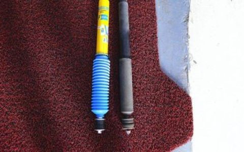 全球十大氮泵排行榜最新(全球十大鱼竿品牌排行榜)