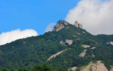 中国十大最长的隧道排行榜(十大最长的恐龙排行榜)