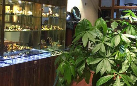 十大茶业加盟连锁品牌排行榜(加盟茶业茶叶店十大全国品牌)
