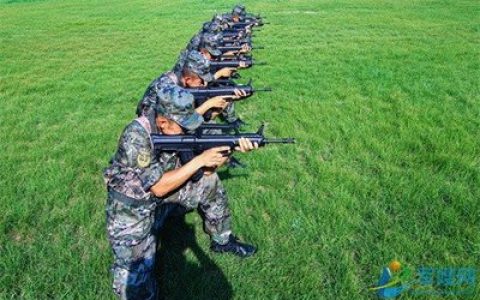 中国竞技枪械排行榜(最强枪械排行榜)