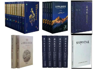 中国最贵古书排行榜(中国最贵的食材排行榜前十名)插图2