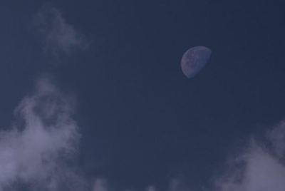 全球十大经典水果排行榜(全球十大经典英文歌曲排行榜)插图1