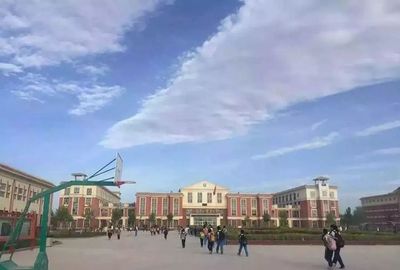 山东十大吃香城市排行榜(山东技校十大吃香专业)插图1