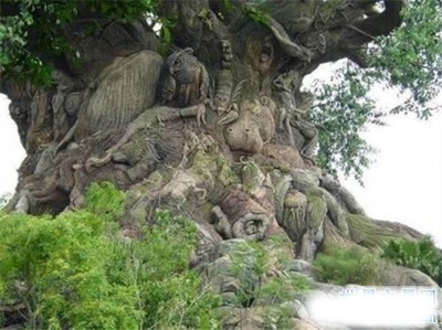 十大怪诞恐怖片排行榜(2022十大恐怖片排行榜前十名)插图1