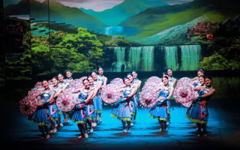十大美团平台排行榜图片(十大豫剧团排行榜)