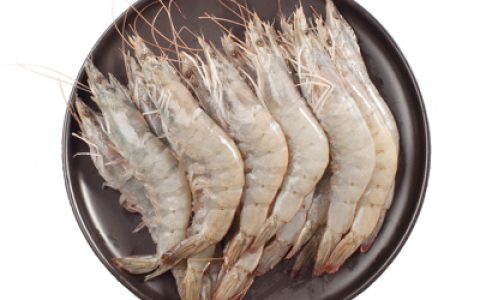 中国虾类排行榜(中国有哪些虾类)