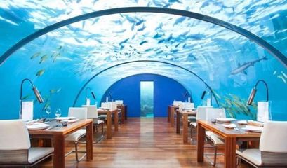 世界十大餐厅推荐排行榜(珠海十大餐厅排行榜)插图3