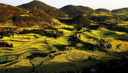 迷你世界十大帅哥排行榜(迷你世界十大帅哥图片)插图1