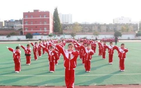 榆林十大小学排行榜最新(榆林小学排行榜前十名)