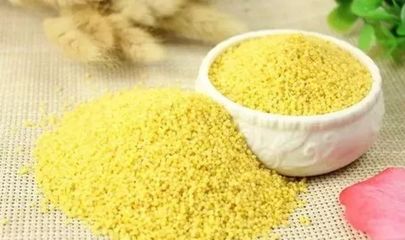犬粮十大品牌排行榜国产(十大品牌玉鸟粮排行榜)插图1