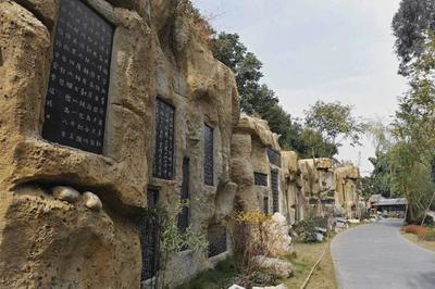 全国十大村排行榜名单(开国十大将军排行榜名单)插图4