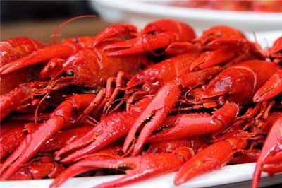 十大龙虾产地排行榜(龙虾饲料十大品牌排行榜)插图2