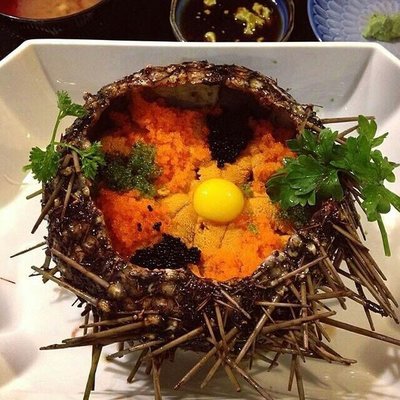 十大坑爹菜名排行榜(十大乐器排行榜)插图1