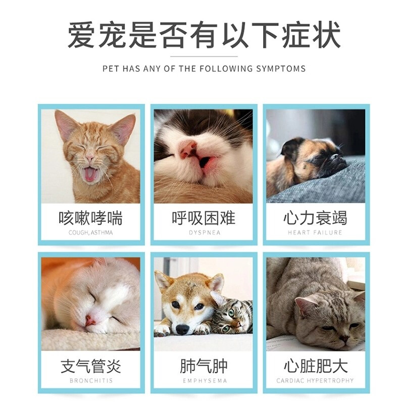 十大不省心车型排行榜(十大省心宠物排行榜)插图1