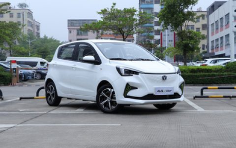 中国微型小车排行榜(中国小车排行榜前十名)