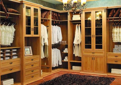 好看的衣柜十大品牌排行榜(2022年衣柜十大品牌排行榜)插图