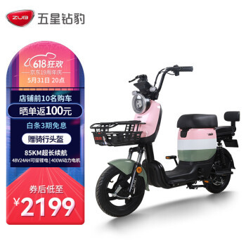 中国品牌伟哥排行榜(中国品牌电动车排行榜前十名)插图1
