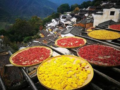 岳阳十大避暑胜地排行榜(岳阳名吃十大排行榜)插图2