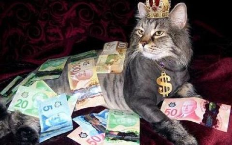 中国首富排行榜养猪(中国个人首富排行榜)
