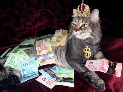 中国首富排行榜养猪(中国个人首富排行榜)插图