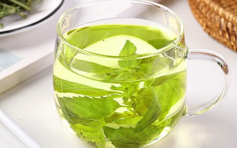 中国绿茶香水排行榜(中国绿茶排行榜前十名)